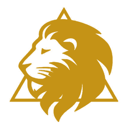 Vigo Kapital